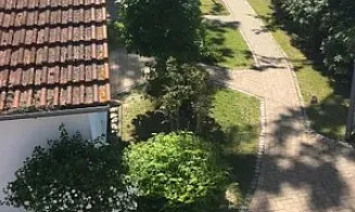 Blick vom Balkon