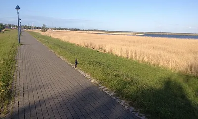 Direkter Deichzugang mit Blick auf die Kranichrastinsel Kirr