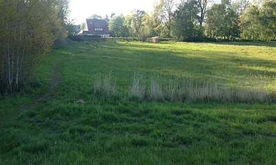 Haus am Strom vom Deich aus ca 100 m