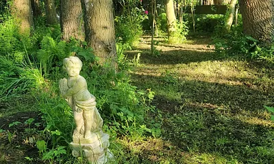 unser kleiner Wald auf dem Grundstück