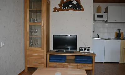 Wohnraum mit Pentry-Küche