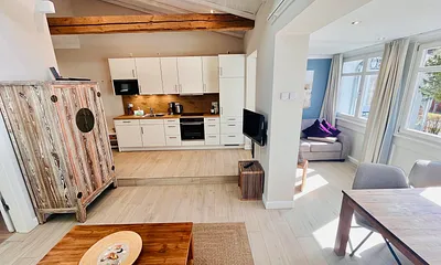 Blick auf die Küche und das Schlafsofa