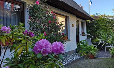 Reetdachhaus " Sommerlust "