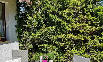 Kleine Terrasse am Ferienhaus