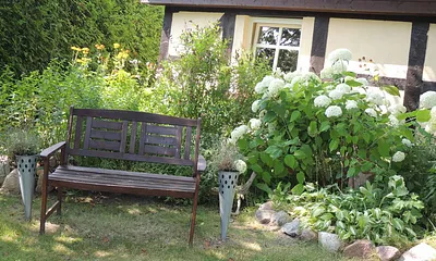 Vorderansicht Garten