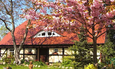 Aussenansicht Garten