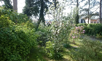 Garten vor der Sitzecke 