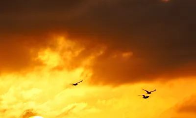 Sonnenuntergang 