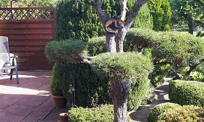 Terrasse Lee mit Blick in den Garten