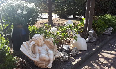 Entdeckungen im Garten