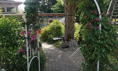 Blick aufs Grundstück 