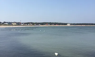 Schwanenpaar auf der Ostsee
