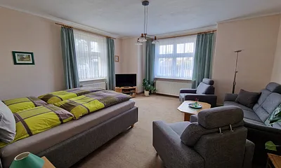 Wohn- und Schlafraum mit Doppelbett, Couch u. Sessel und Flach-TV 