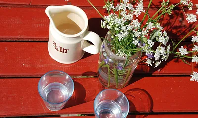 Wohlfühlen bei Apfelsaft von unseren Obstbäumen