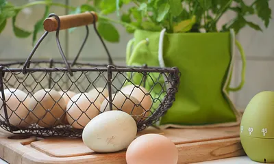 Eier gibt es frisch vom Hof