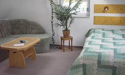 Wohnschlafzimmer im 2. OG mit Fernseher