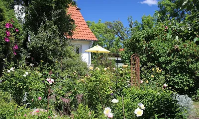 Blütenfreude im Garten