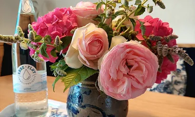 Blumengrüße aus unserem Garten