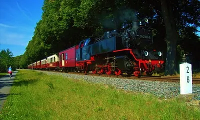 dampfbetriebene Schmalspurbahn "Molli" und Radweg an der Lindenallee