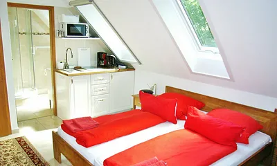 Küchenzeile, Duschbad des Appartement "Molliblick"  Hauptzimmer