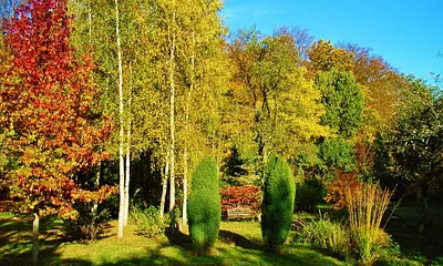 Parkbereich der Ostseepension im Herbst