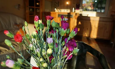 Wohnzimmer mit integrierter Küche