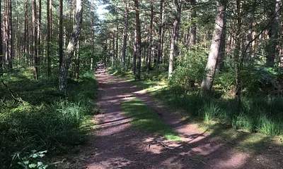traumhafte Rad- und Wanderwege