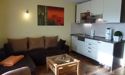 moderne Küche mit Geschirrspüler , Mikrowelle, Cerankochfeld und Kühlschrank