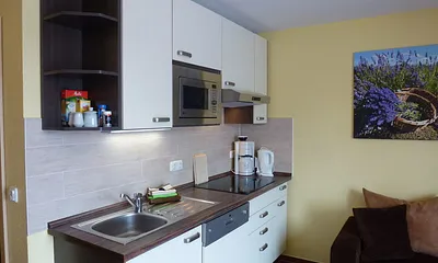 moderne Küche mit Geschirrspüler , Mikrowelle, Cerankochfeld und extra großen Kühlschrank ( kein Backherd )