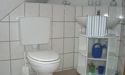 Das freundliche Duschbad hat Tageslicht.