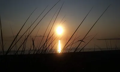Sonnenuntergang am Bodden