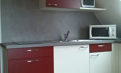 Küche mit guter Ausstattung 