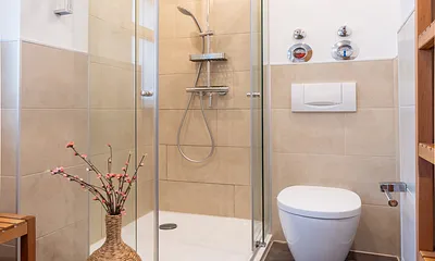 Modernes Bad mit Wellnessdusche und WC