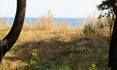 eingeschränkter Seeblick