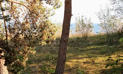 eingeschränkter Seeblick