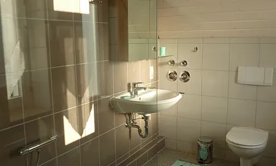 Tageslichtbad mit Walkin-Dusche