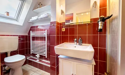 Tageslichtbad mit DU/WC und Fön