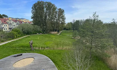 Blick vom Balkon