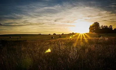 Feld Alt Reddevitz, vorm Ferienhaus