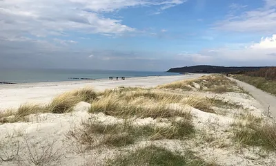 Strand Insel Hiddensee