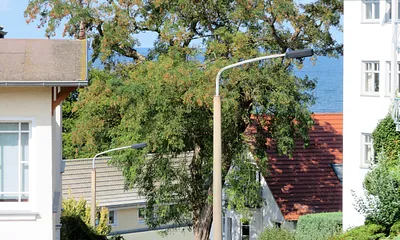 Eingeschränkter Seeblick