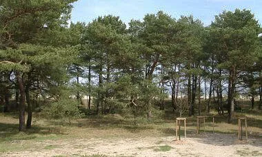 Haus direkt am Meer in der Dünenanlage