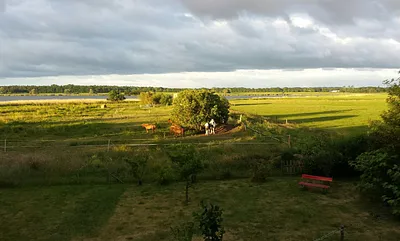 Morgenstimmung am Bodden