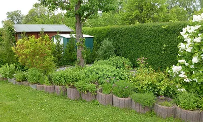 Garten mit laube und Fahrradabstellhaus