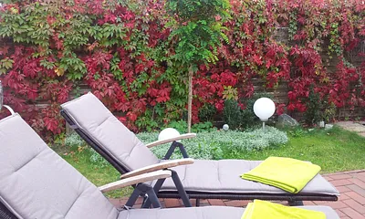 Komfortable Liegeplätze im Grünen