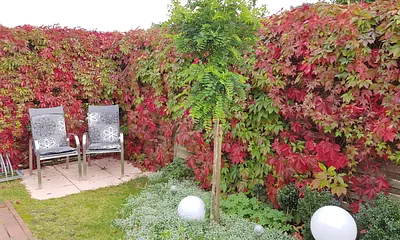 Schön angelegter Garten