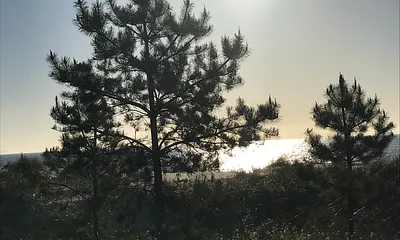 Morgensonne an der Prommenade