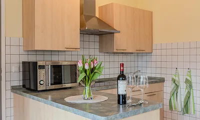 voll ausgestattete Küche mit Mikrowelle, Induktionsherd und Geschirrspüler