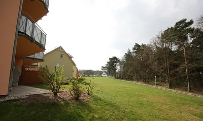 Wiese hinter den Häusern