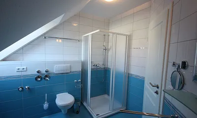 Tageslichtbad mit Dusche/WC